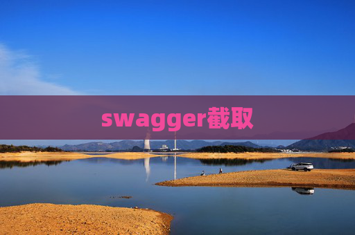 swagger截取